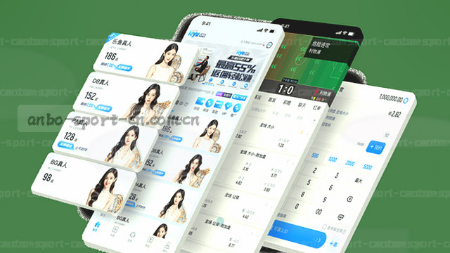 iOS端分步安装引导